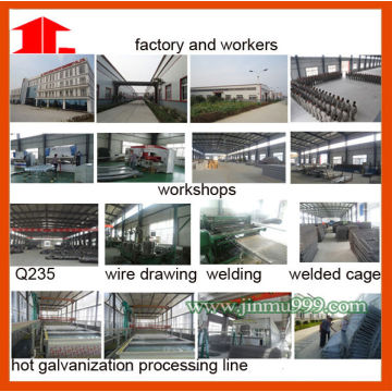 Jinfeng Poultry Cage